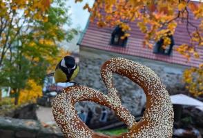 Ж/д тур на Новый год в Выборг + Карелия