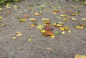 ОСЕНЬ НА КАВКАЗЕ (ж/д тур) 31.10 - 08.11.25